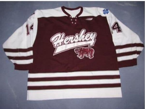 Custom Men Youth women Vintage AHL Hershey Bears 100% Embroidery # 14 Alex Tangu Hockey Jersey Size S-5XL or custom any name or number