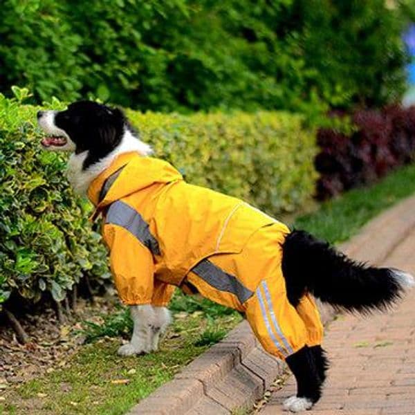 Wholesale-Pet dog raincoat large breed dog of medium size Satsuma golden border collie dog legs raincoat poncho
