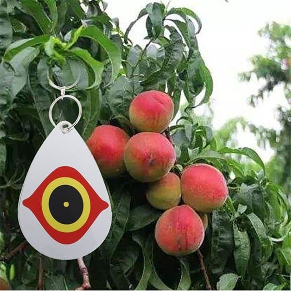 Bird Repellent Diverter Discs Bird Scarer Animal Eye Scare Birds Away Pest Protable Plant Tool YQ01956