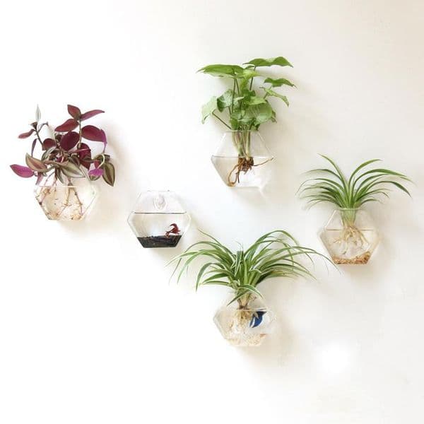 Mkono 2 Pcs Wall Mounted Glass Vase Wall Hanging Planter Plant Flower Pot Small Plants Terrarium Home Decor, Hexagon Shape