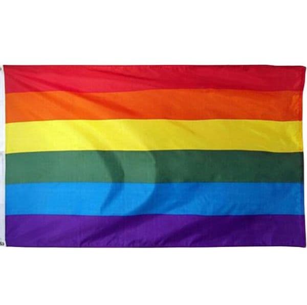 100Pcs Rainbow Flag 3x5FT 90x150cm Lesbian Gay Pride Polyester LGBT Flag Banner Polyester Colorful Rainbow Flag For Decoration LX5957