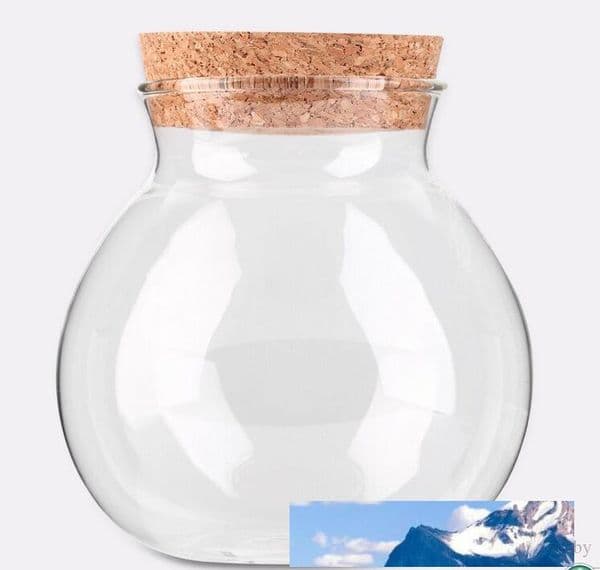 New Arrival Cute Design Tea Coffee Sugar Glass Canisters Flower Plant Vase Pot Home Decoration Party Transparent Beauty