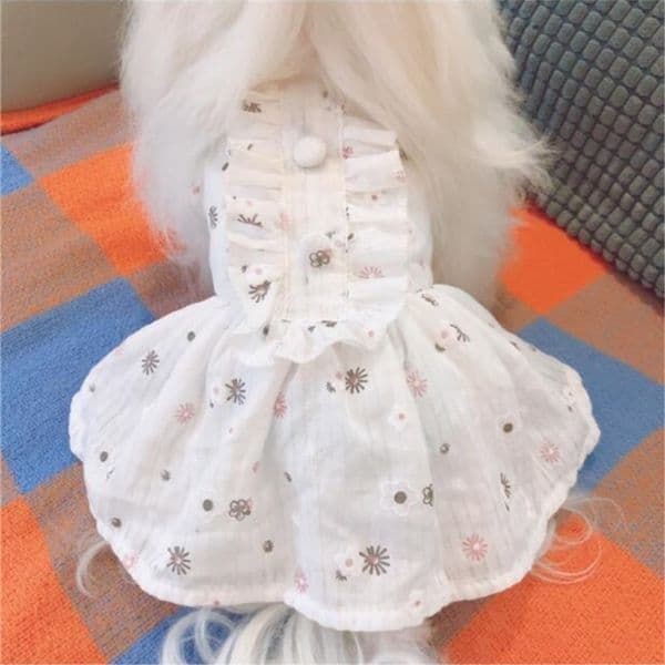 Dog Clothes For Small Dogs Chihuahua Yorkies Pug Clothes Coat Spring Aturmn Dog Clothing Pet Puppy Jacket Dog Dress white XXS-XL T200710