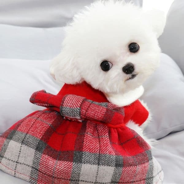 Winter Dog Clothes Red Doll Dress Pets Outfits Warm Clothes for Small Dogs Cat Costumes Coat Jacket Puppy Sweater Dogs New 201127