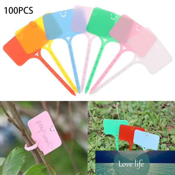 100Pcs Colorful Plant Markers Garden Bonsai Succulent Seedings Tags Sign PVC Gardening Labels Stake on Soil Paint Sticks DROPSHI