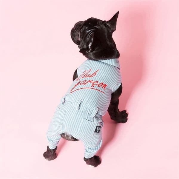 Cotton Dog Clothes Couple Pet Overalls For Dogs Jumpsuit Dogs Pets Clothing For Dog French Bulldog Pets Products Pet Coat Jacket 201127
