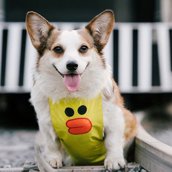 Dog Protection Belly Cartoon Cute Waterproof Apron Pet Dog Clothes Basset Dog Pet Clothing French Bulldog Pug Costume 201127