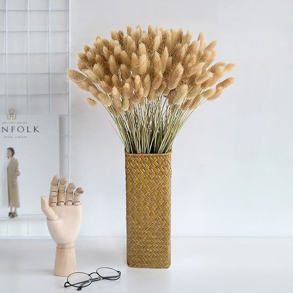 30 Stems Pampas Dried Flower Bunny Tail Natural Plants Floral Rabbit Grass Bouquet Home Decoration Accessories Y1128 B2