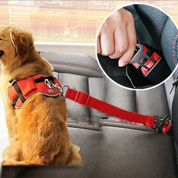 Dog Collar and Seat Belt Vehicle Car Seatbelt Lead Clip Pet Cat Dog Safety Dog Supplies Safety Lever 211006