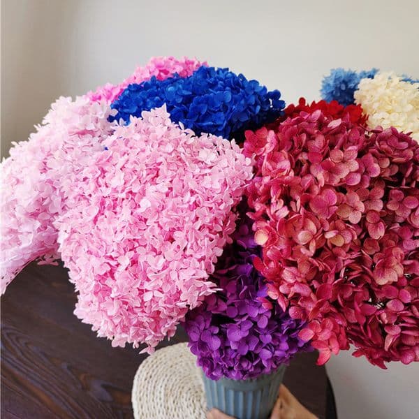 1Bunch/40x20cm/30Colors Anna Hydrangea Whole Branch Preserved Dried Flower Bouquet Photograph New Home Desktop Garden Decoration 210317