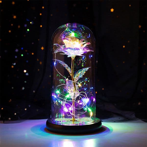 2026 New LED Enchanted Galaxy Rose Eternal 24K Gold Foil Flower With Fairy String Lights In Dome For Christmas Valentine's Day Gift 210317 F