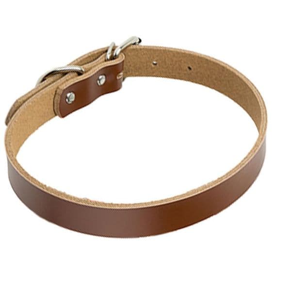 Dog Adjustable Letter Collar Pin Buckle Dog Leather Collars Neck Lace Pet Dog Supplies Red Pink Blue will and sandy Drop