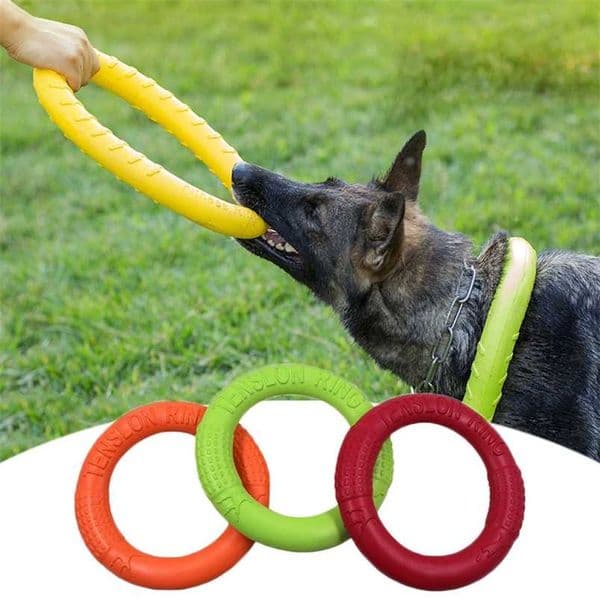Pet Flying Discs Dog Training Ring Puller Resistant Bite Floating toys Interactive Game Playing Products Supply 211111