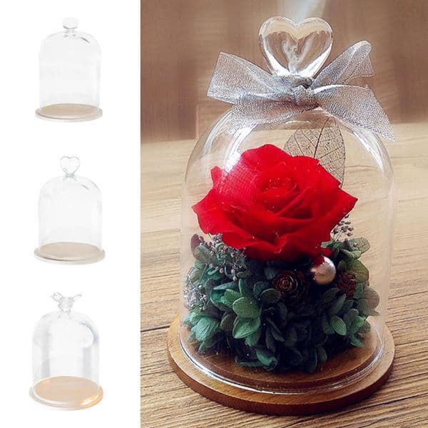 2026 Clear Vases Display Cloche Bell Jar Dome Immortal Preservation With Wooden Base Flower Glass Cover Home Decord Free Shipping 03