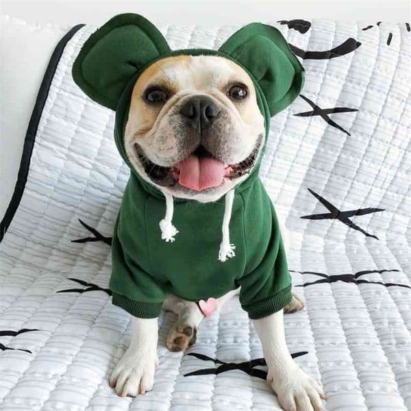 Pug Clothes French Bulldog Clothing Frenchie Dog Hoodie Sweatshirt Coat Winter Pet Outfit Poodle Pomeranian Schnauzer Garment 210401