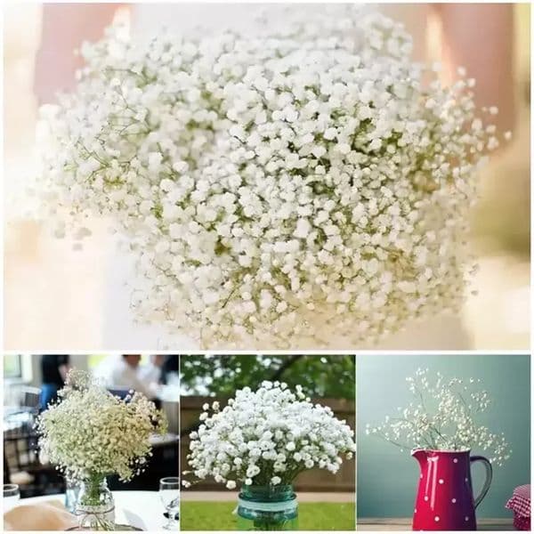 single white Arrive Gypsophila Baby Breath Artificial Fake Silk Flowers Plant Home Wedding Decoration DHL Delivery