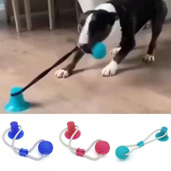Dog Interactive Suction Cup Push TPR Ball Toys Elastic Ropes Dog Tooth Cleaning Chewing Playing IQ Treat Toys Pet Puppy Supplies 0727