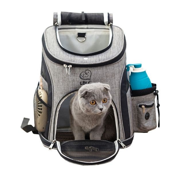 Pet travel backpack Puppy bag Portable dog Carrying for cats small dogs Chihuahua Backpack a cat with window LJ201201