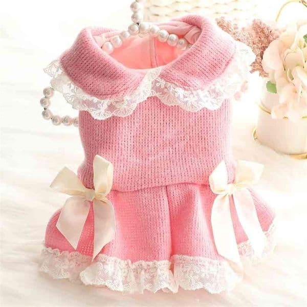 Cute Dog Dress Winter Cat Dog Clothes Pet Dresses Princess Skirt Chihuahua Yorkshire Terrier Poodle Pomeranian Puppy Costume 210401