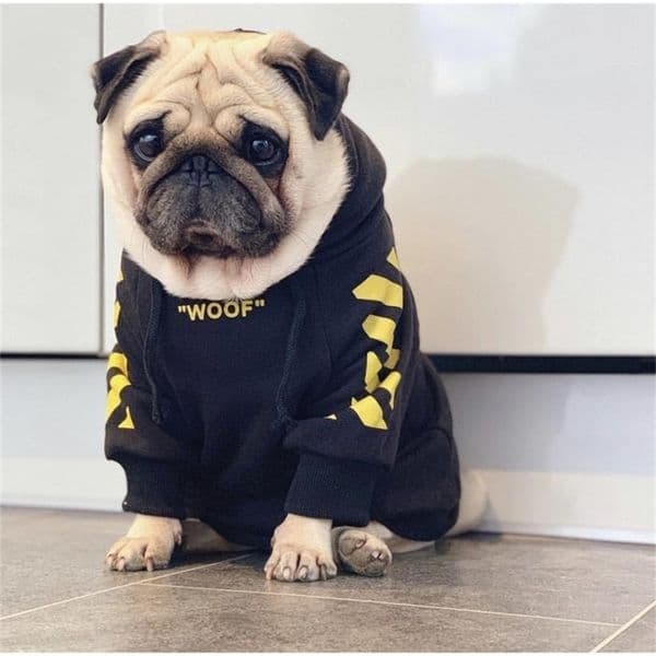 Fashion Sport Hoodie For Dogs Pet Winter Coat Puppy Dogs Clothing Schnauzer Akita French Bulldog Clothes Pugs Fleece 210401