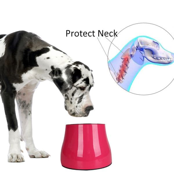 Protect Pets Neck Pet Bowl Sets Feeding Food For Golden Retriever Large Dogs With Malemine Stand Removable Stainless Steel Y200917