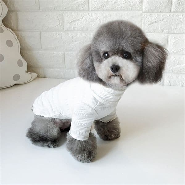 Spring Summer Pet Dog Clothes For s Shirt Soft Sun Sweatershirt Puppy Cat Clothing Small s Chihuahua LJ200923