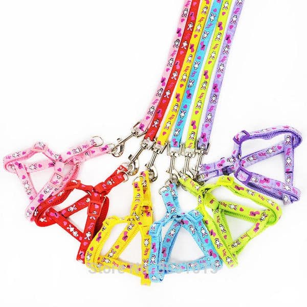 Wholesale 20 pcs Kitten Puppy Safe Collar Pet Dog Leads Chest Straps Adjustable Rabbit Cartoon Dog Harness with Leash Pet Shop 201101