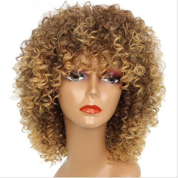 16Inches Long Afro Kinky Curly Wigs for Women Blonde Mixed Brown Synthetic Short Wigs African Hairstyle