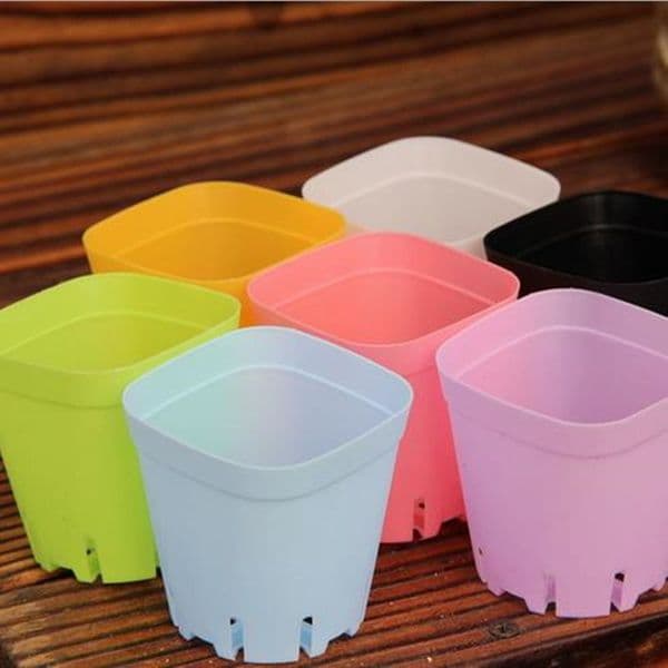 Plastic Flowerpot Mini Multicolour Square Succulents Breed Base Special Purpose Basin The Bottom Is More Breathable