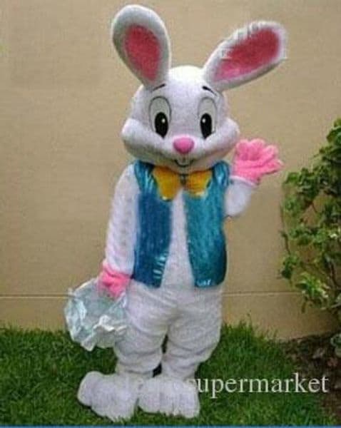 2026 do manual work is delicate hot sale cakes PROFESSIONAL EASTER BUNNY MASCOT COSTUME Rabbit Hare child/Adult