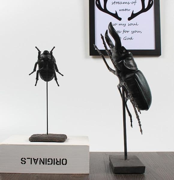 black creative resin beetle statue home decor crafts room decoration objects Simulation beetles figurine vintage office ornament