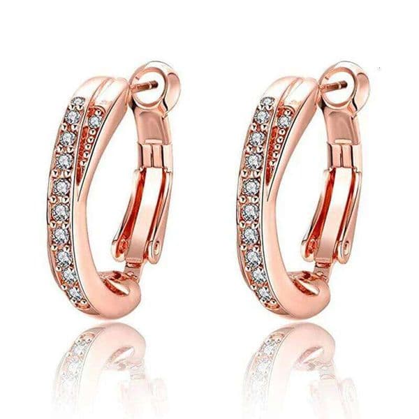 New 925 Sterling Silver Inlaid Zircon 14K Rose Gold Earrings For Women'S Charm Jewelry Gift