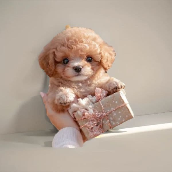 Plush Robot Puppy Interactive Walking Puppy Plush Toy Barking Tail Wagging Simulated Puppy Chilren 251231
