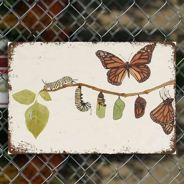 Vintage Watercolor Monarch Butterfly Life Cycle Metal Tin Sign - 8x12 Inch, Rustic Wall Art for Bedroom, Living Room, Kitchen 26T010 26T0104