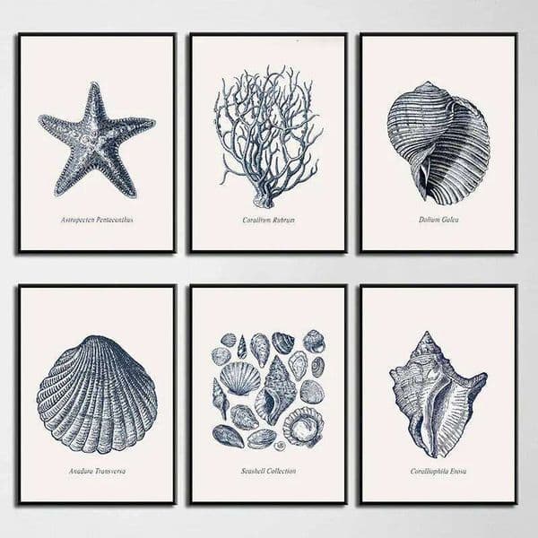 Blue Coastal Sea Antique Seashell Sketch Starfish Conch Posters Prints Canvas Painting Wall Art Pictures Kids Room Home Decor 26N0104