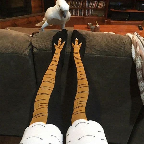 Men Funny 3D Chicken Socks Print Cartoon Cosplay High flexibility Thigh Sock Cotton Fashion Thin Toe Feet 251231BANJIA