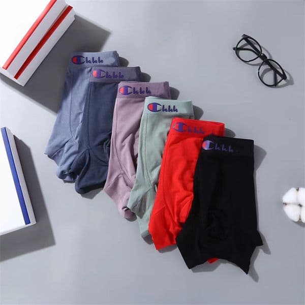 Designer Printed Mens Underpants Summer Thin Breathable Boxers Briefs Luxury Stretch Shorts Sexy Men Underwear