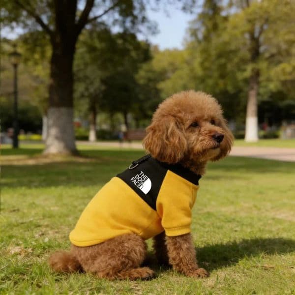Fashion brand Dog Clothes Hoodies The Dog Face Wind Coat The Dog Fans Warm for Small Dogs Jacket Sweatshirt French Bulldog