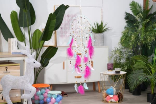 Elegant Exotic Bird Feathers for Enhancing Your Dreamcatcher Design