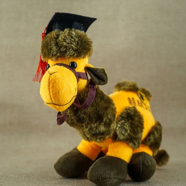 Graduation Camel Plush with Embroidered Cap, Dunhuang Themed Stuffed Animal Gift, Unique PhD Souvenir Toy