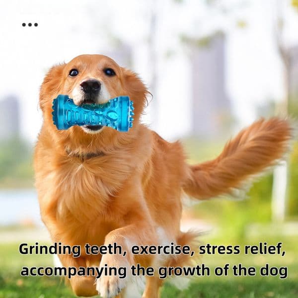 Dog Chew Toys Dog Squeaky Toy with Massage Nubs - Durable Transparent Rubber Chew Toy, Interactive Teething Toy for Medium/Large Dogs