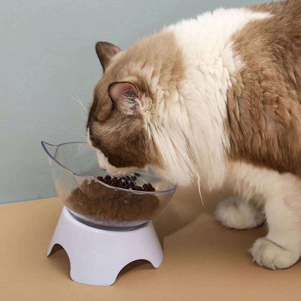 1pc Pet Dog and cat supplies food Drinking water neck guard Cat face ear bowl 26Y0110