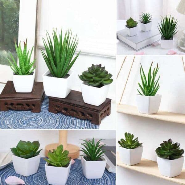A set of 3PCS Simulated Mini Potted Plants Suitable For Decorating Homes, Restaurants, Tabletops, Windowsills, And Bookshelves 26W0112