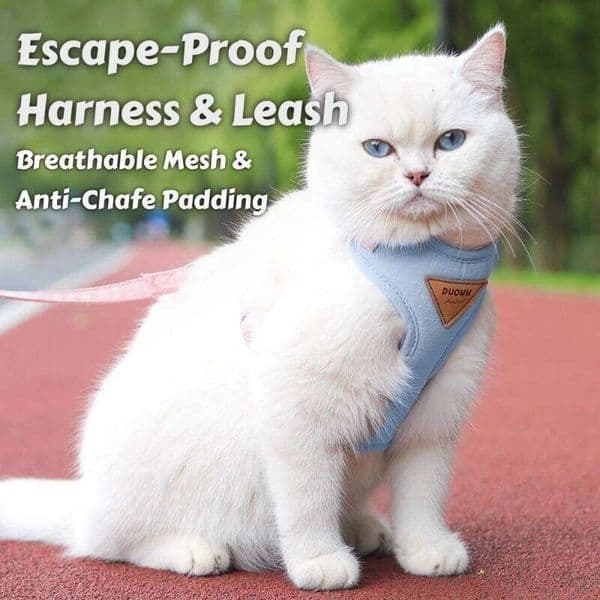 Escape-Proof Cat Harness Leash Set Adjustable Vest with Leather Badge & Breathable Mesh for Kitten/Puppy Outdoor Walking 26W0112