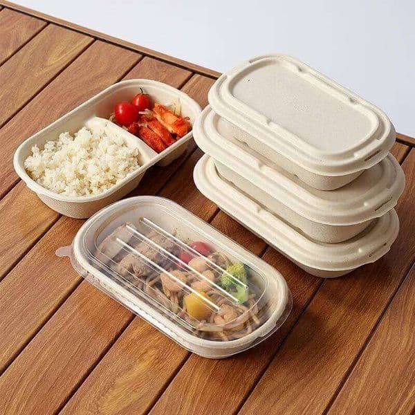 50PCS Light Salad Mochi Packing Disposable Lunch Boxes Kids Students Office Bento Box Food Storage Container With Lid 26W0113