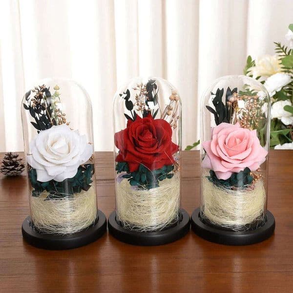 Valentine's Day Forever Preserved Artificial Flowers in Glass Dome Eternal Rose Gifts for Christmas Anniversary Birthday Home Decora 26Y0114