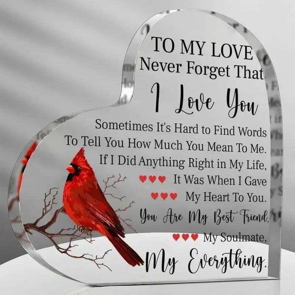 Valentine's Day Romantic boyfriend for her, love cute gift, creative anniversary, Valentine's Day, birthday, girlfriend gift 26Y0115