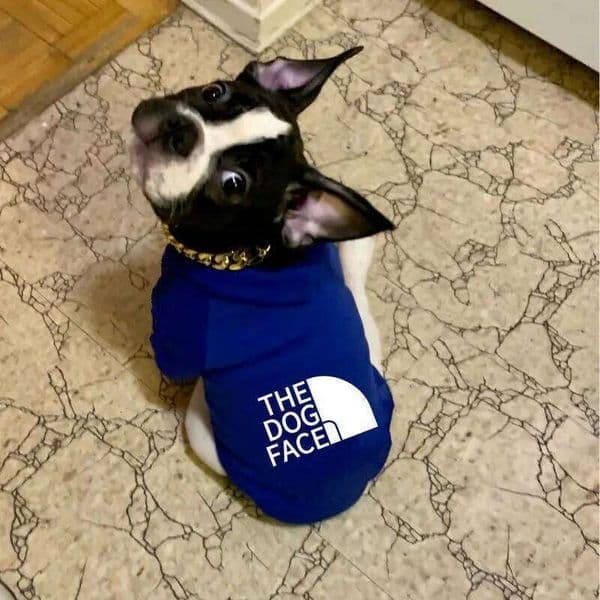 Hooded Pet Jacket Coat Bodysuit Clothing Autumn Winter Warm Hoodie Large Small Dog Corgi Border Collie Fadou 26Y0116