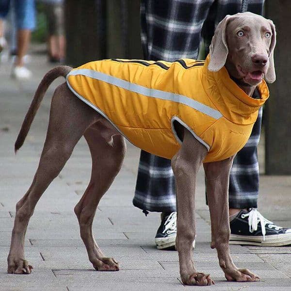 Reflective Pet Clothes for Large Dogs Windproof Big Coat Jacket Pitbull Greyhound Wheeling Dog Clothing ropa de perros 26Y0116