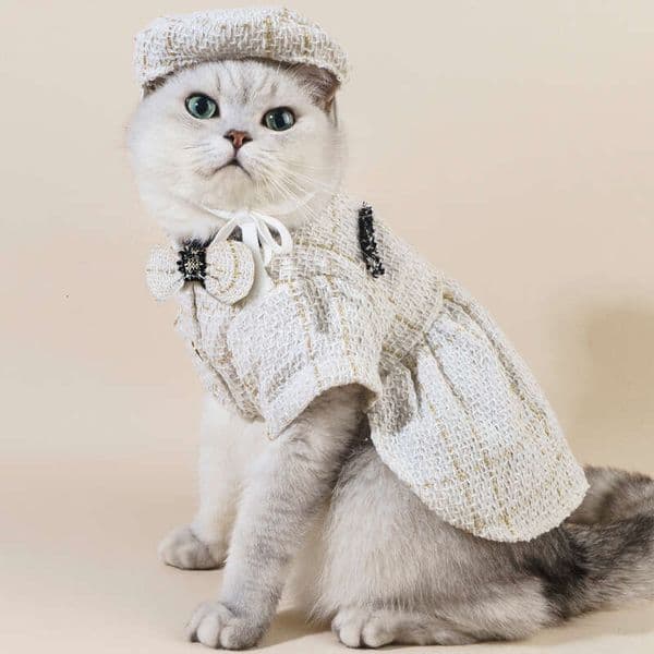 Luxury Tweed Pet Clothes Set Plaid Dog Jacket Skirt with Matching Hat Korean Fashion Designer Puppy Cat Autumn Winter Outfit Wholesale